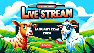 Linessa Farms Live!  January 22, 2024