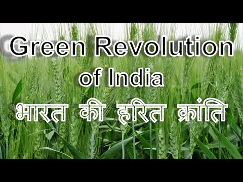 Green Revolution Of India भारत की हरित क्रांति - YouTube