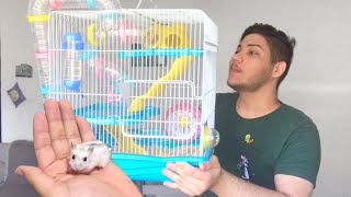 COMPREI UMA GAIOLA SAFÁRI GIGANTE E UM HAMSTER ANÃO RUSSO! Montando a gaiola | #RihanFerreira