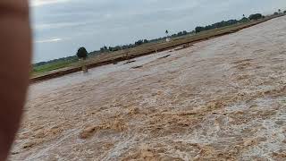 Kamalapuram Papagni river Bridge on 20/11/2021 @5pm