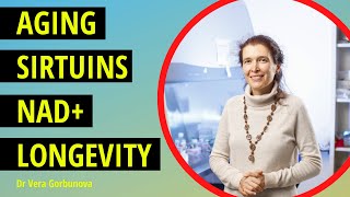 Slowing Aging with Sirtuins, NAD and Hyaluronic Acid - Dr Vera Gorbunova