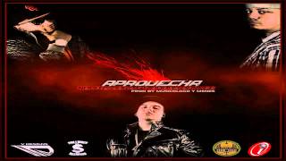Aprovecha (Sin Promo) (Mucha Calidad) - Nova & Jory Ft. Daddy Yankee