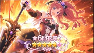 【6星秋乃】132等通關 - 裝備看資訊欄