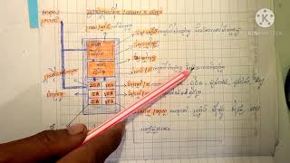 ប្រអប់ហ្វុយស៊ីតរបស់ម៉ូតូZoomer x