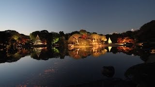 紅葉の東京 庭園散歩2016 庭園美術館～小石川後楽園～旧古河庭園～六義園