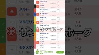 黒船賞◎サンライズホーク#地方 #地方競馬予想動画 #黒船賞2024#shortvideo