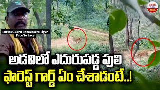 అడవిలో ఎదురుపడ్డ పులి ఫారెస్ట్ గార్డ్ ఏం చేశాడంటే..! | Forest Guard Close Encounter with Tiger | ABN