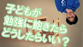 好きだった勉強に対してやる気を失ったらこうしよう！｜子どもを勉強好きにするコツ【子育て動画：伸学会】子育ての心理学・脳科学#348