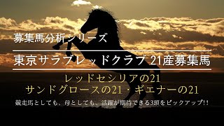 【一口馬主】東京サラブレッドクラブ 21年産募集馬分析