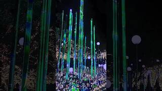 2024.12.6 東京ミッドタウン イルミネーション#illumination#イルミネーション#日本#japan#japanvlog #japantravel #shorts