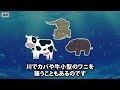 【サメ事件2本】海で泳いでいる娘が突然大声をあげる「早く上げて！」引き上げてみるとなんと…【女子高生サメ襲撃事件】【女子中学生サメ襲撃事件】