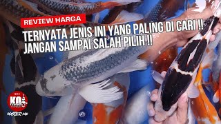 JANGAN SALAH PILIH ⁉️ REVIEW HARGA IKAN KOI BLITAR PALING DI CARI OLEH PENGHOBBY IKAN KOI ‼️