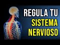 Ejercicio eficaz para REGULAR tu Sistema Nervioso [2 MINUTOS]