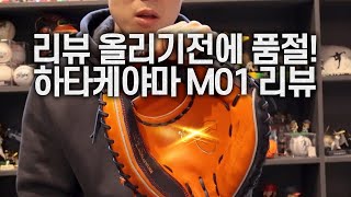 하타케야마 M01 패턴 A백 실버 오더 리뷰