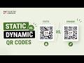Static or Dynamic QR Code - Which One Should You Use?