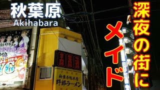 ぼっちによる深夜の秋葉原さんぽ－この街にはメイドさんがいる－【ミニ東京観光】