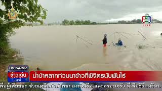 น้ำป่าไหลหลาก ท่วมนาข้าวที่จังหวัดพิจิตรนับพันไร่