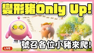 【RY直播】變形豬Only Up🐷！號召各位小豬豬陪我爬～#蛋仔派對 8/11