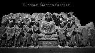 Buddham Saranam Gacchami 三皈依