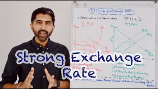 Strong Exchange Rate - Consequences and Evaluation