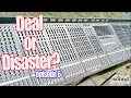 Pro Audio Deal or Disaster Episode 6!