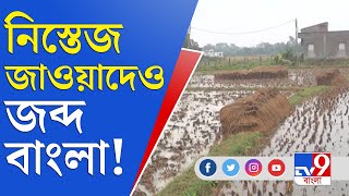 জাওয়াদের বৃষ্টিতে বিপুল ক্ষতির মুখে বাংলার চাষিরা | Cyclone Jawad | Jawad Live Update