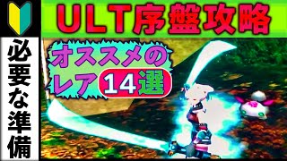 【GC版PSO】鬼門・アルティメット序盤の攻略に役立つレア14選【レアアイテムまとめ紹介 #4】