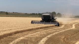 Harvesting Wheat in 2017 with Gleaner R62