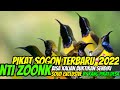 Exclusive PIKAT SOGON TERBARU2022 By kang pikat desa#sogon