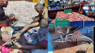 Biggest fish market /Mangalore Dakke/ Bunder / Beauty of kudla da Dakke/ Manglore Dakke/Fish market