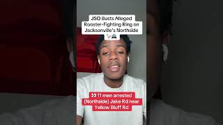 JSO Arrests 11 After Alleged Rooster-Fighting Ring Bust on Jacksonville’s Northside