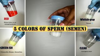 5 COLORS of sperm (semen)