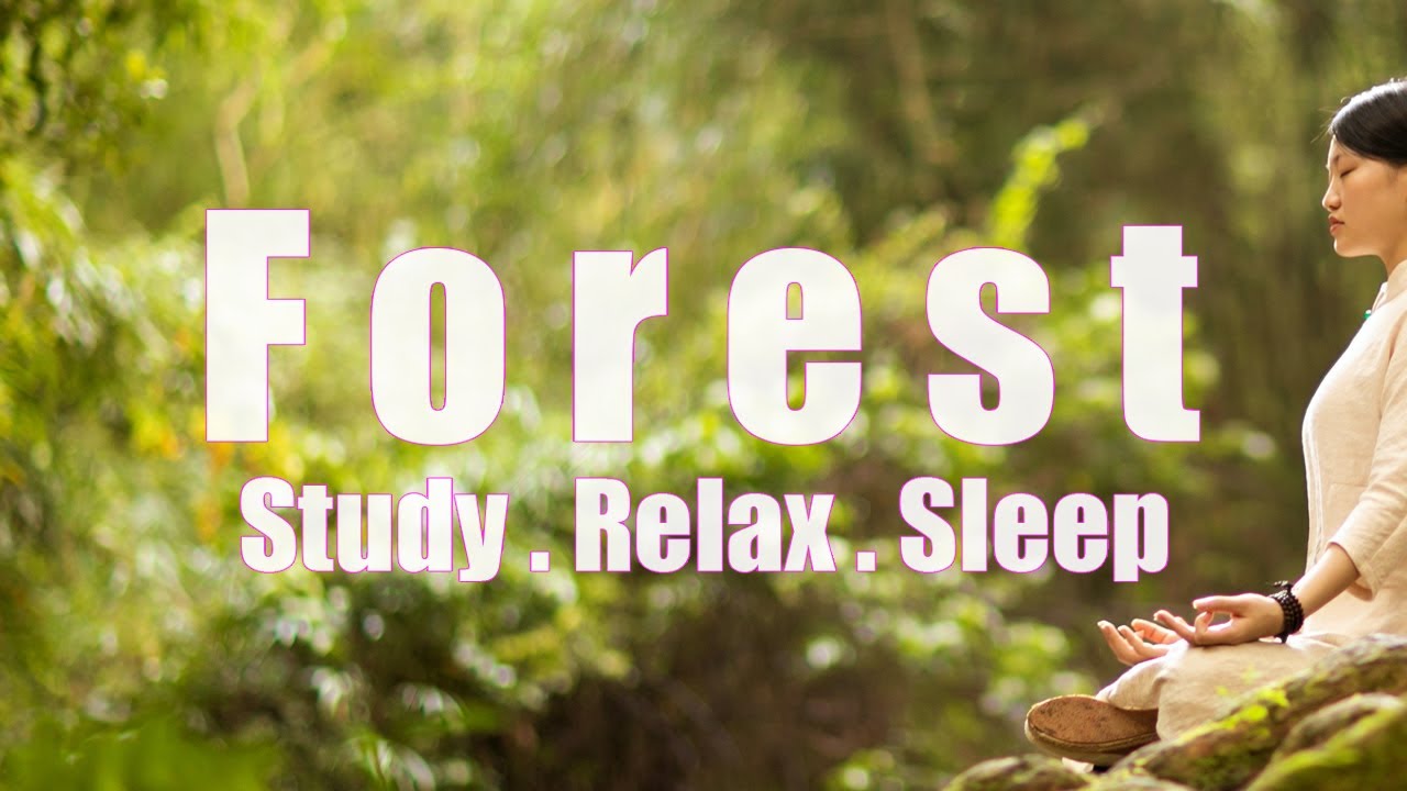 Forest Deep Relaxing Music With Forest Music Sleep Music