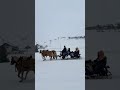 this is snowy day in alpe di siusi seiser alm südtirol italy