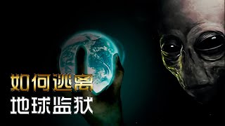 是谁把人类锁死在地球监狱？如何实现意识的永生和星际穿越！