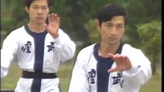 八極拳 發勁六式 原始版本 bajiquan