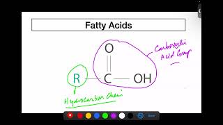 Lipids