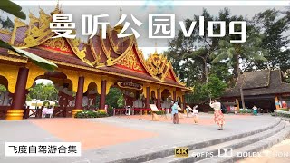 西双版纳vlog 白天曼听御花园看大象表演 晚上告庄吃泰国菜