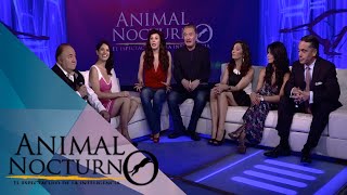 Animal nocturno: Claustro de Sor Juana Animal nocturno: Claustro de Sor Juana