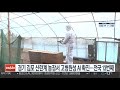 경기 김포 산란계 농장서 고병원성 ai 확진…전국 13번째 연합뉴스tv yonhapnewstv