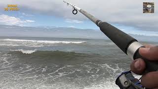 When a fisherman sees this, he is always excited. || The most exciting thing at sea.