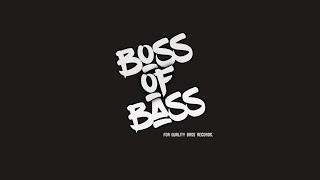 Axel Thesleff - Bad Karma (XZEEZ & Cammy Remix) [Bass Boosted]