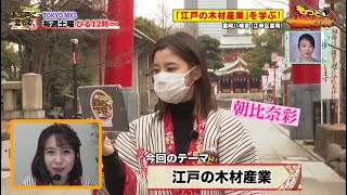 お江戸に恋して【江戸の木材産業(2021/2/13 OA)】