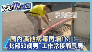 快新聞／國內漢他病毒再增1例！　北部50歲男染疫「工作常接觸鼠屍」－民視新聞