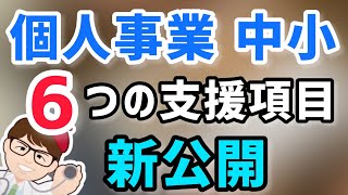 個人事業主中小企業向け６つの支援項目・中小企業庁の補正予算内訳判明・事業再構築補助金・持続化補助金・ものづくり補助金・IT導入補助金・事業承継引継ぎ・生産性革命推進事業等【マキノヤ先生】第1241回