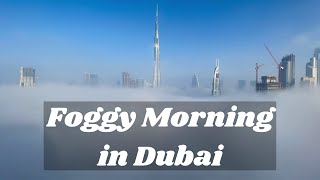 A Foggy Morning in Dubai. Watch Till the End !!!