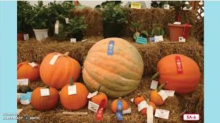 CKLA Seasons and Weather Lesson 5 Autumn