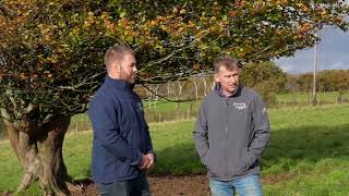 Nigel Owens on Farming Herefords and Irish Hereford Prime in Wales