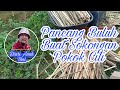 Cara Menyediakan Pancang Buluh Untuk Sokongan Pokok Cili