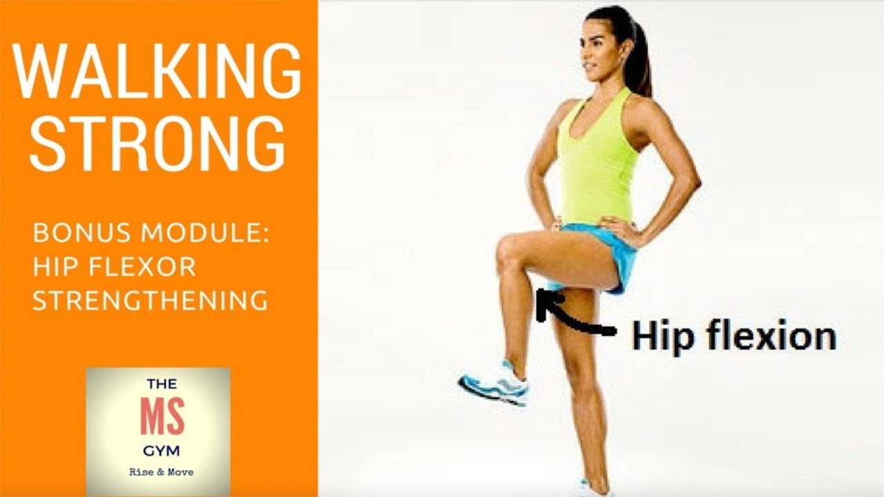 Improving Hip Flexor Strength Youtube